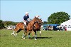 UKPA NC SAT_2095